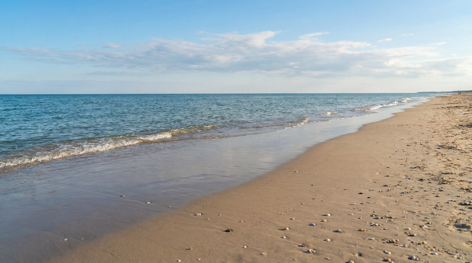 Beach4.png